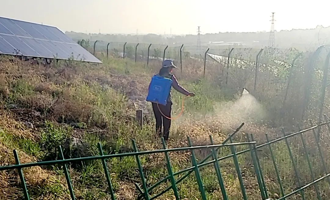 1716341603363825.jpg 1716341603363825.jpg